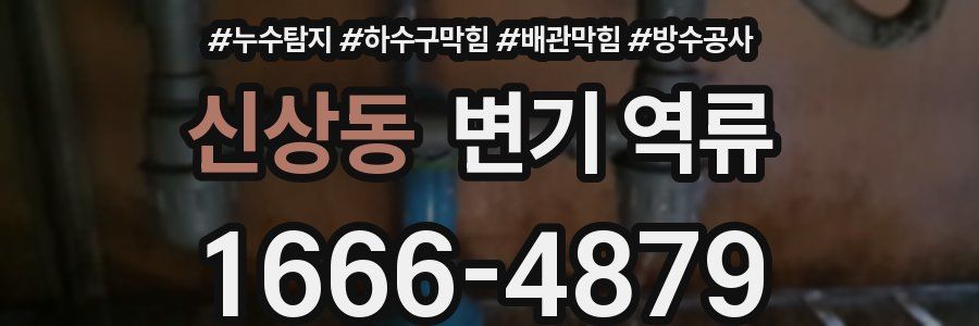 신상동 변기 역류