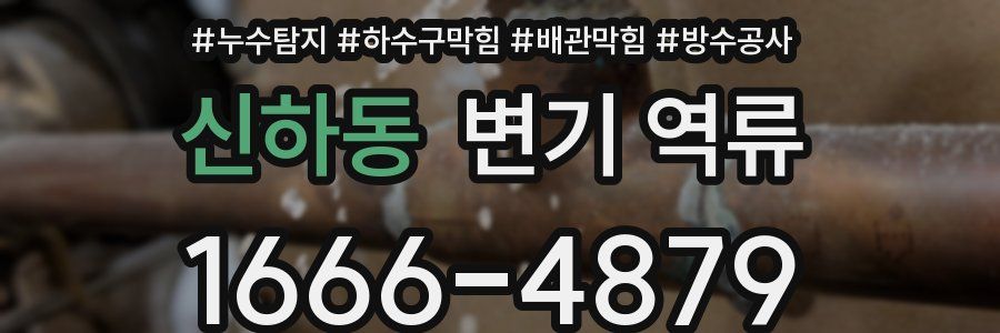 신하동 변기 역류