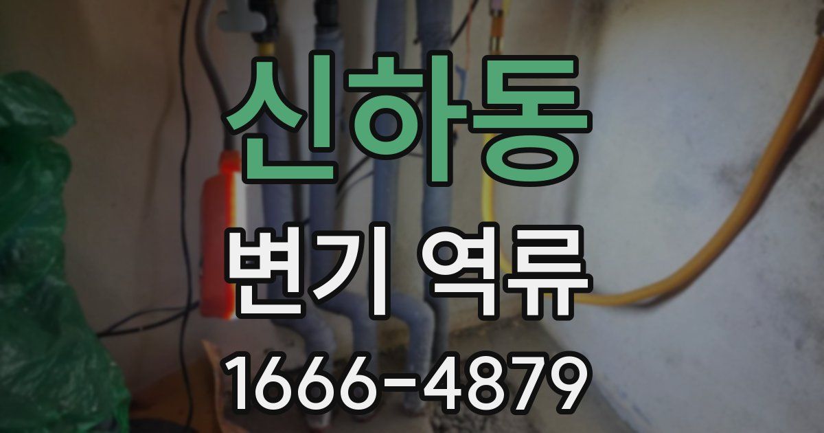 신하동 변기 역류