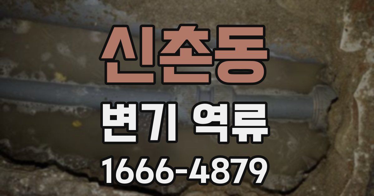 신촌동 변기 역류