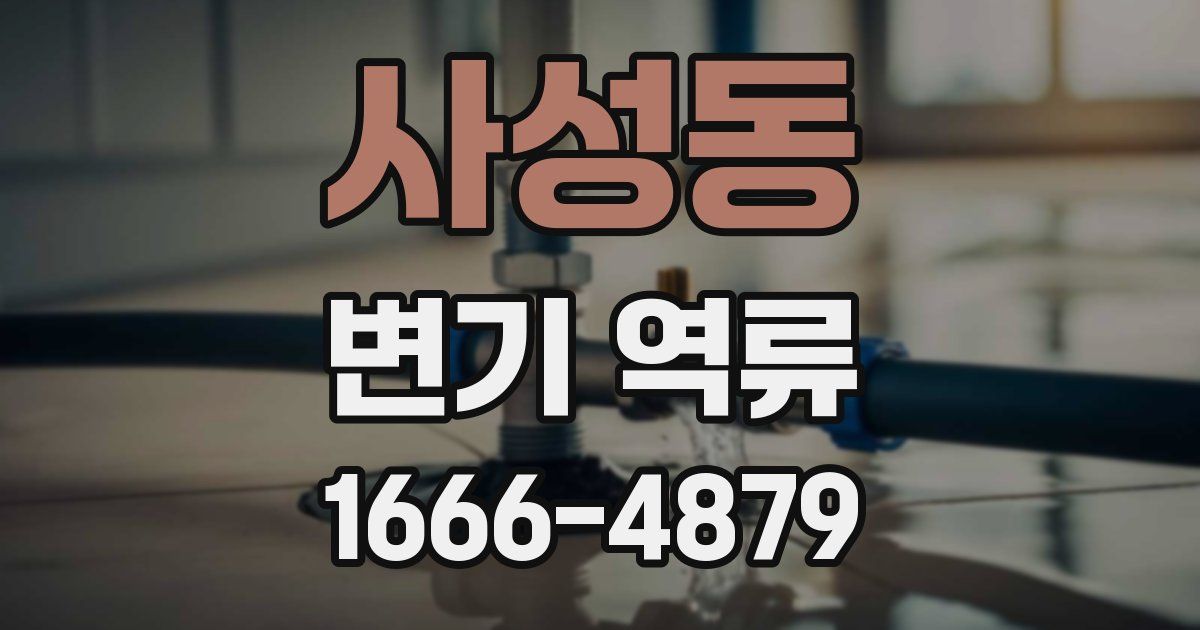사성동 변기 역류