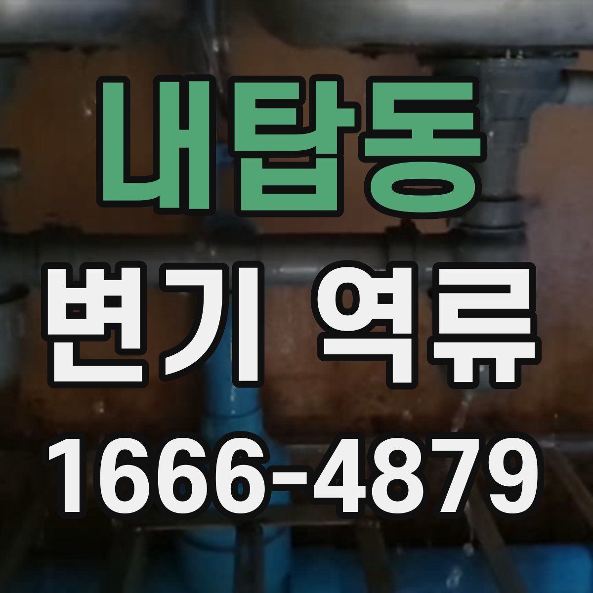 내탑동 변기 역류