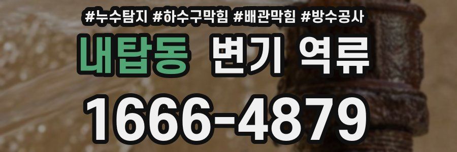 내탑동 변기 역류