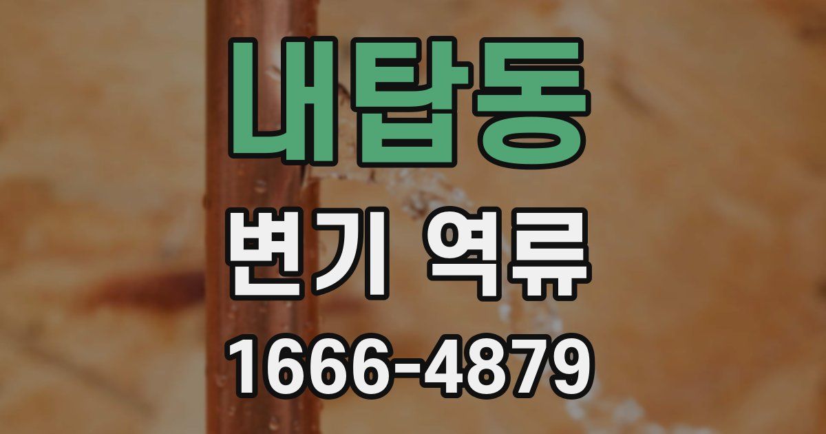 내탑동 변기 역류