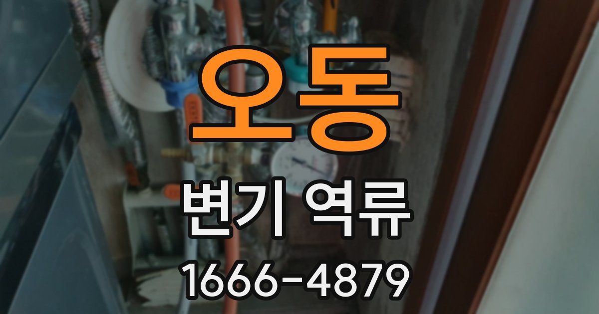 오동 변기 역류