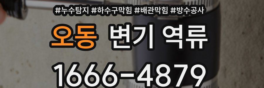 오동 변기 역류