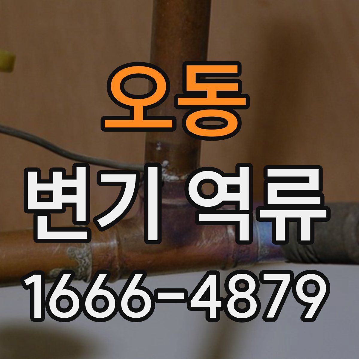 오동 변기 역류