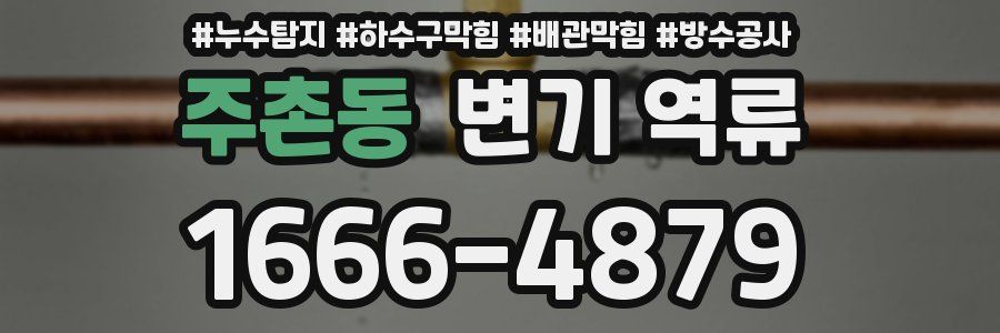 주촌동 변기 역류