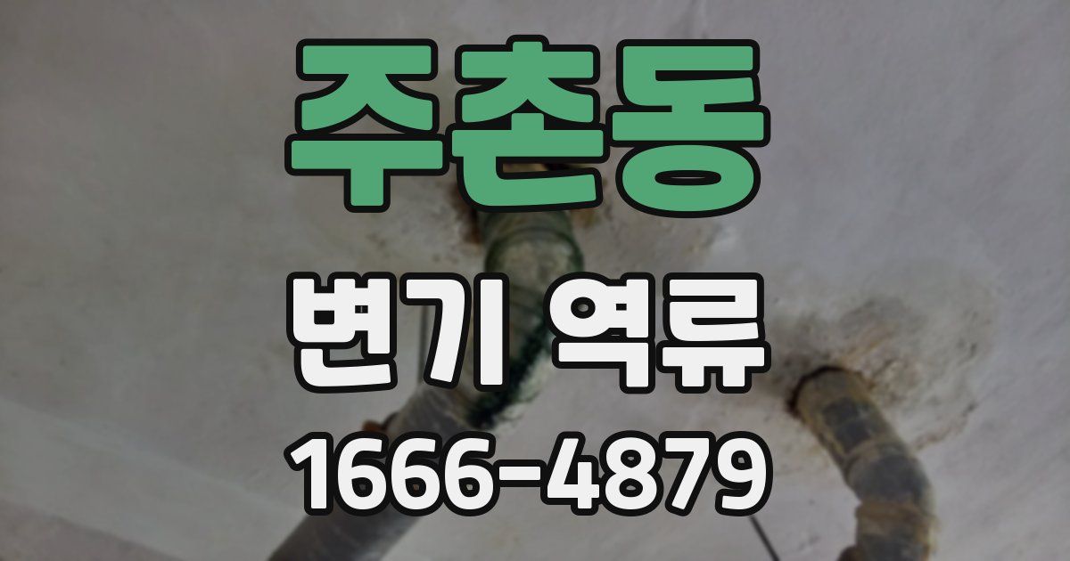 주촌동 변기 역류