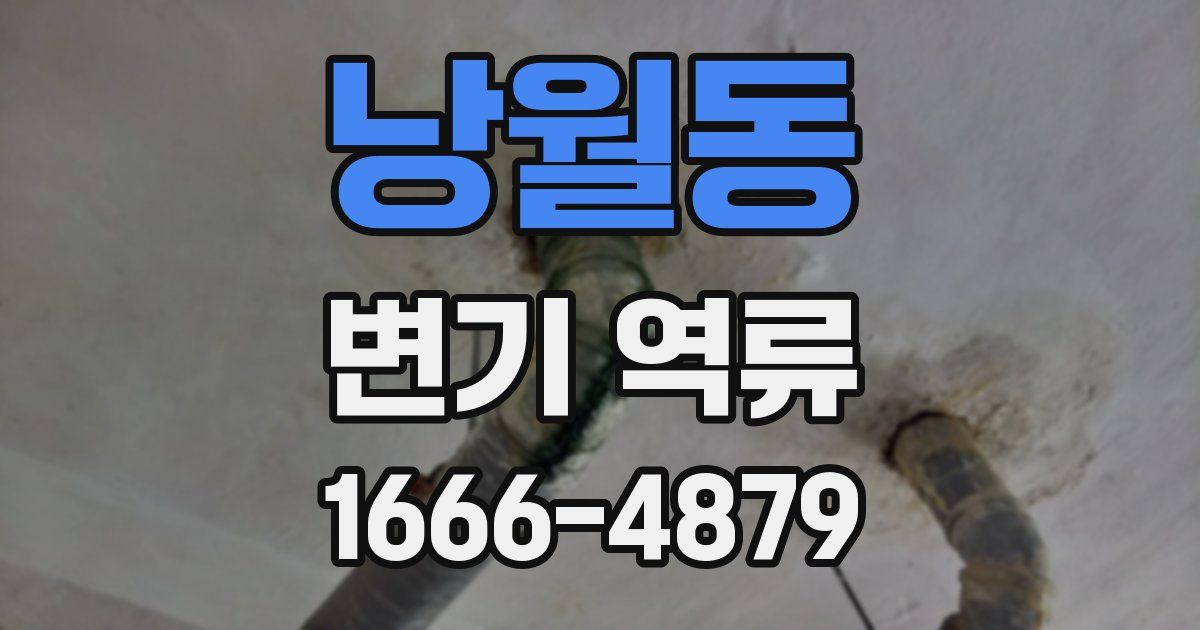 낭월동 변기 역류