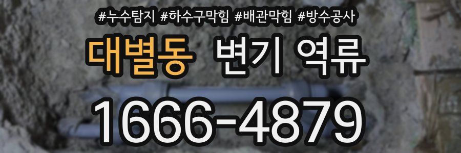 대별동 변기 역류