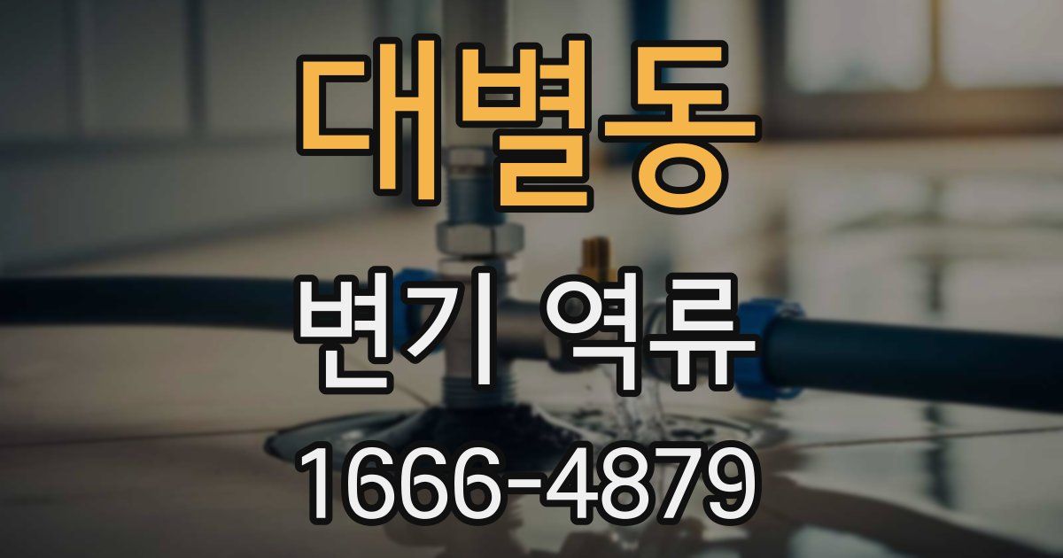대별동 변기 역류