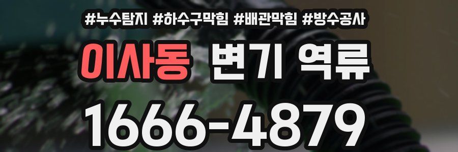 이사동 변기 역류