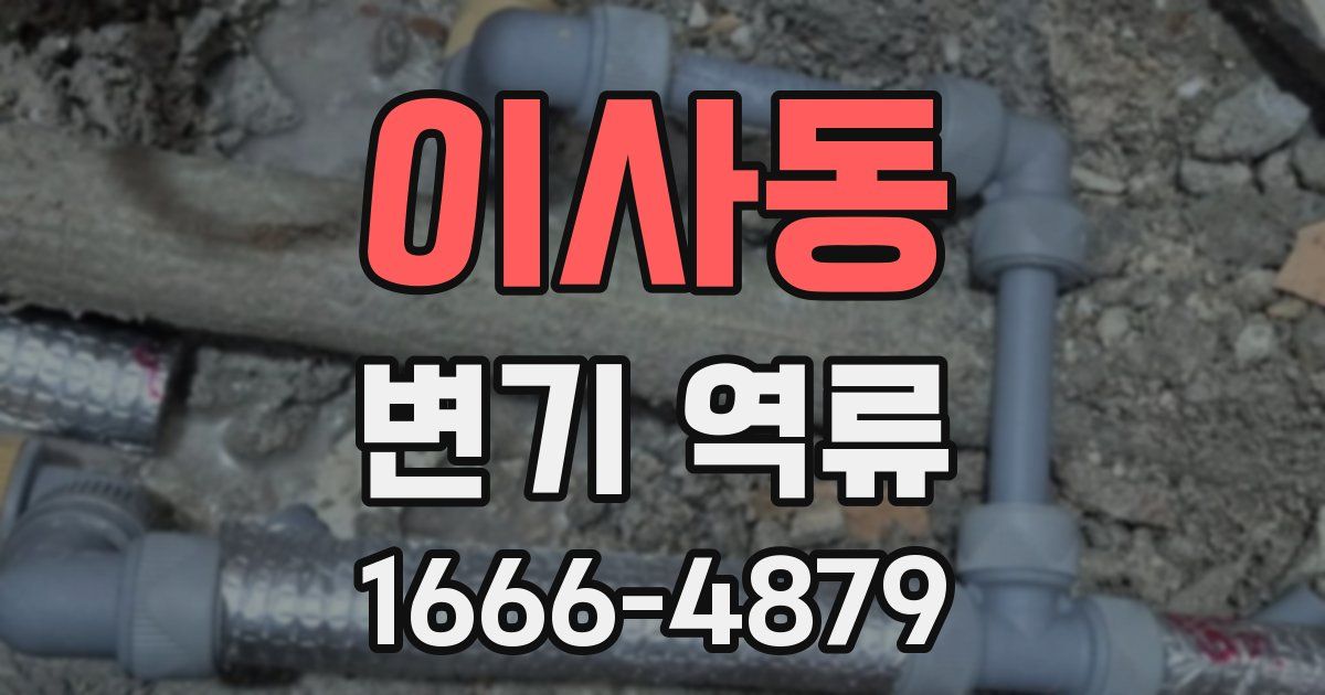 이사동 변기 역류