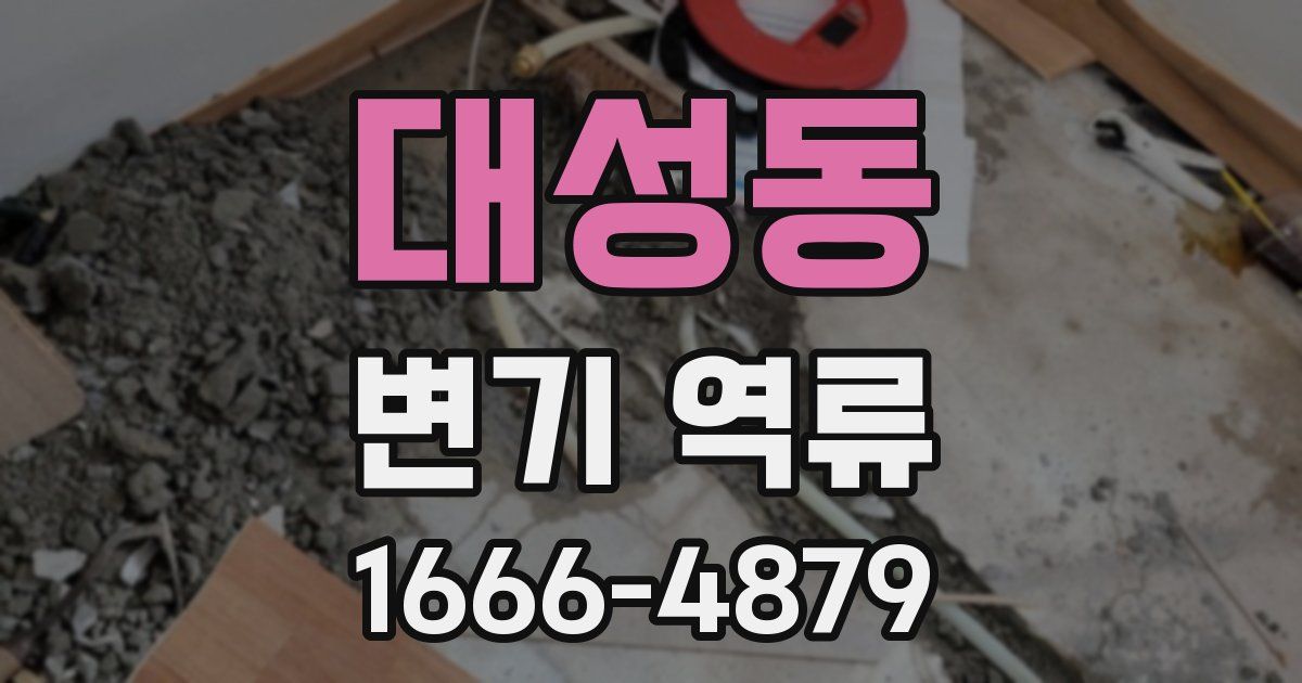 대성동 변기 역류