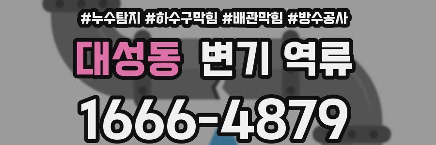 대성동 변기 역류