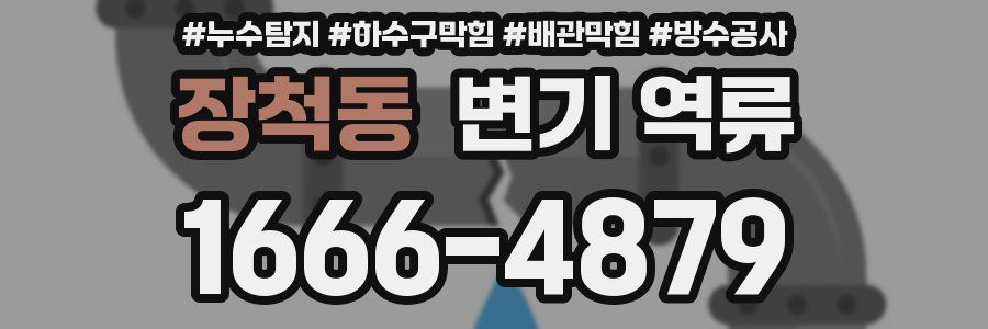 장척동 변기 역류
