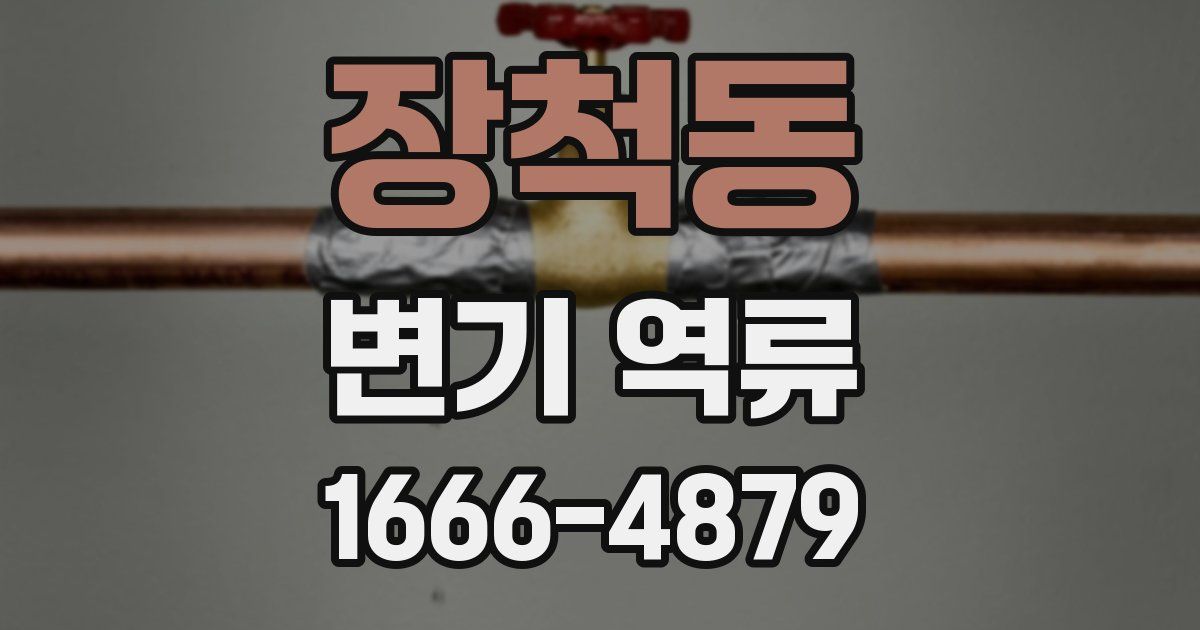 장척동 변기 역류