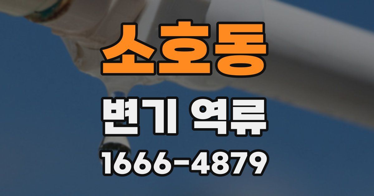 소호동 변기 역류