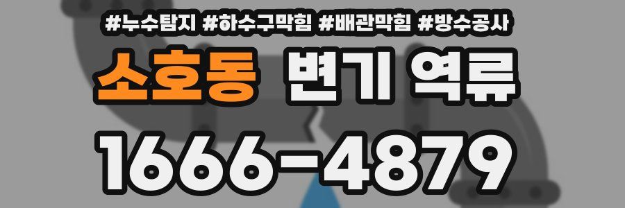 소호동 변기 역류