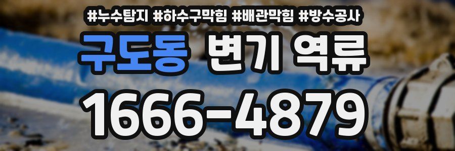 구도동 변기 역류