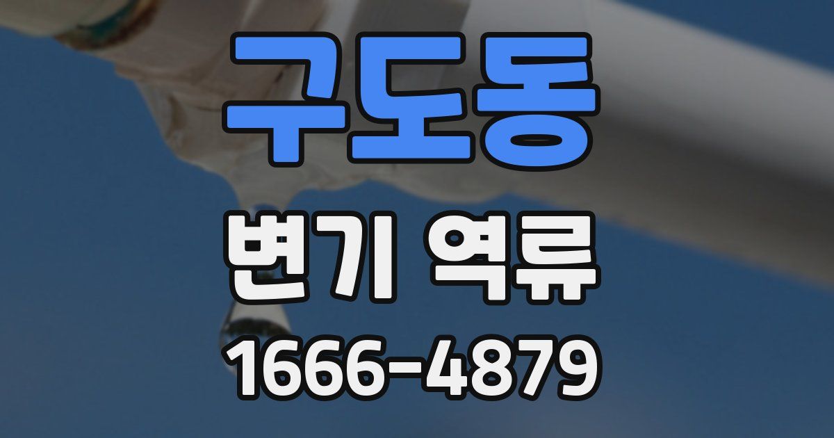 구도동 변기 역류