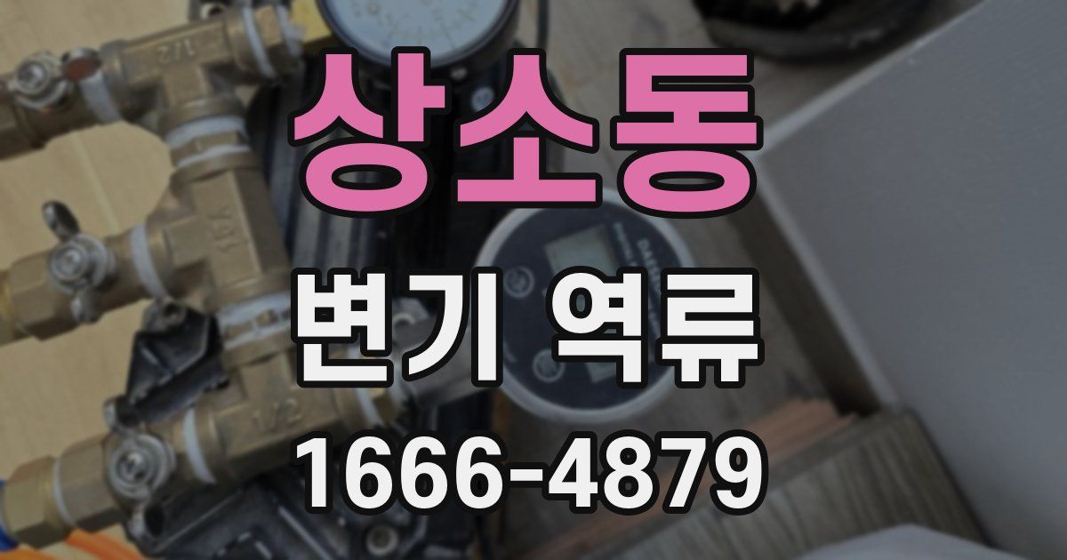 상소동 변기 역류