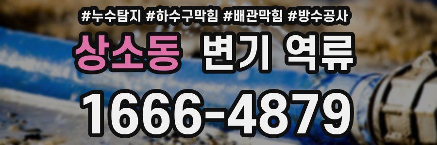 상소동 변기 역류