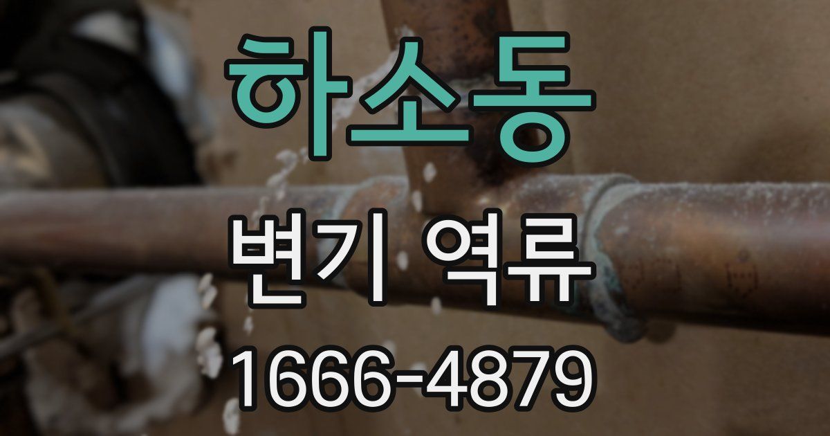 하소동 변기 역류