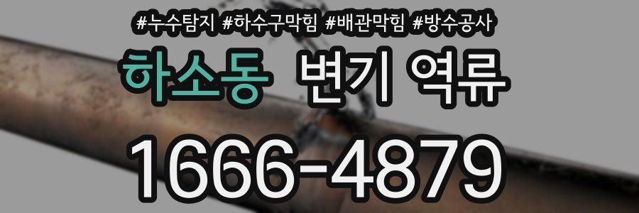 하소동 변기 역류