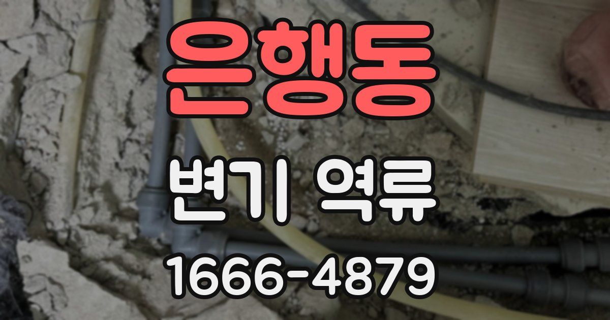 은행동 변기 역류