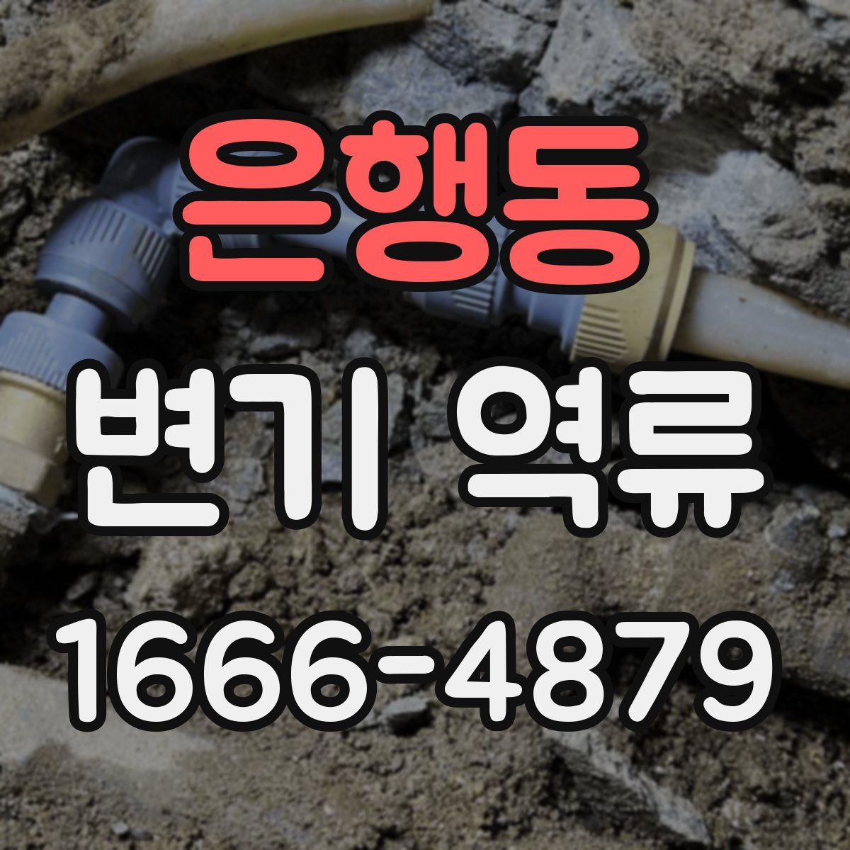 은행동 변기 역류