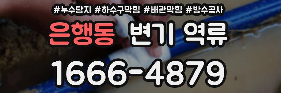 은행동 변기 역류