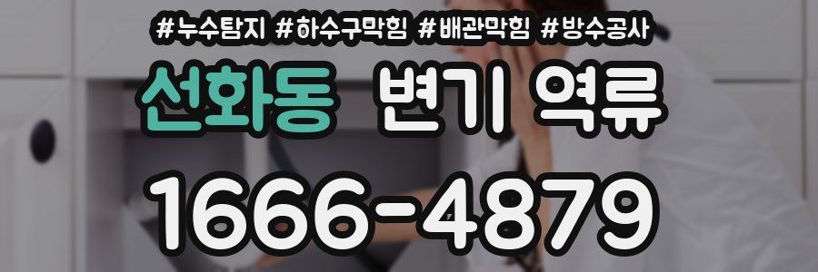 선화동 변기 역류