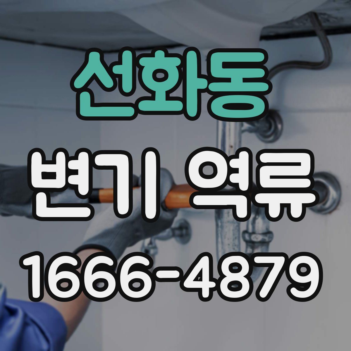 선화동 변기 역류