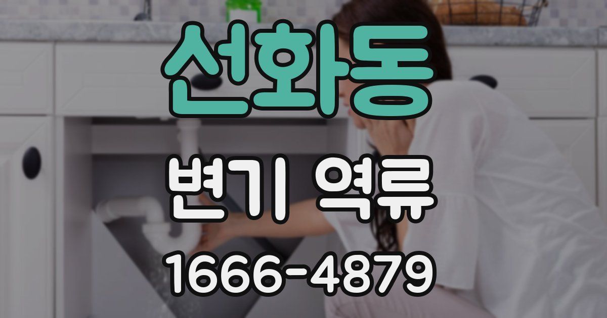 선화동 변기 역류