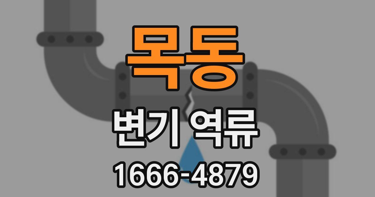목동 변기 역류