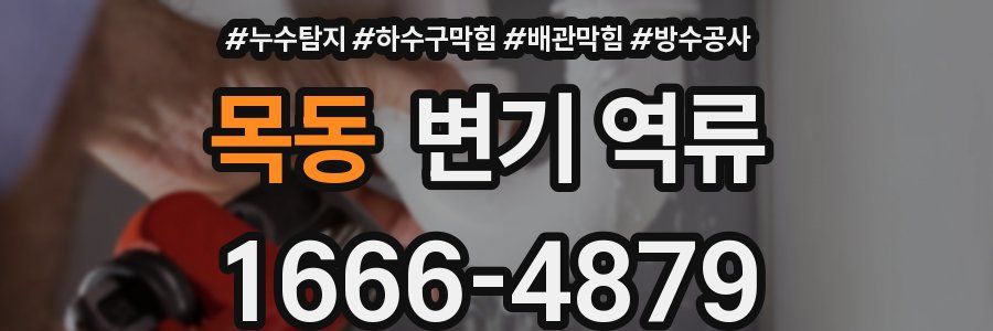 목동 변기 역류