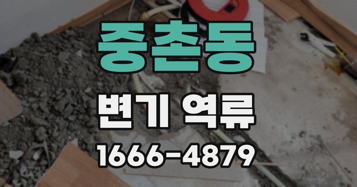 중촌동 변기 역류
