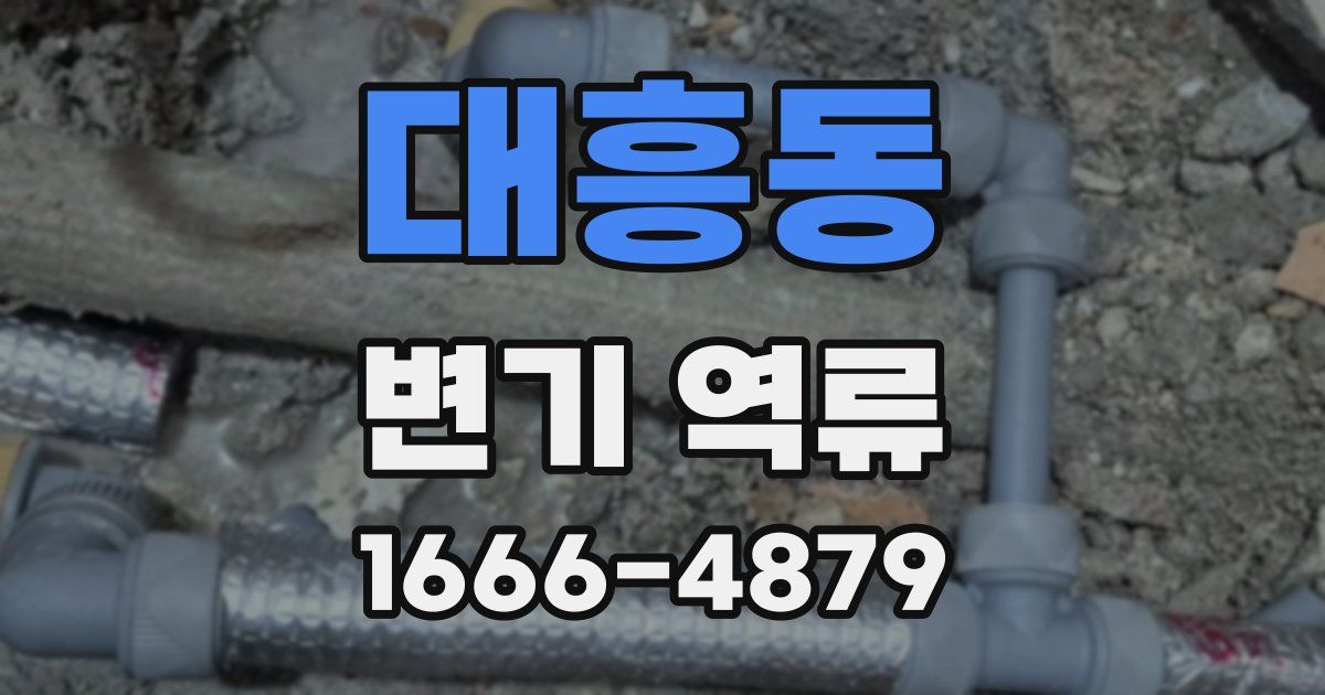 대흥동 변기 역류