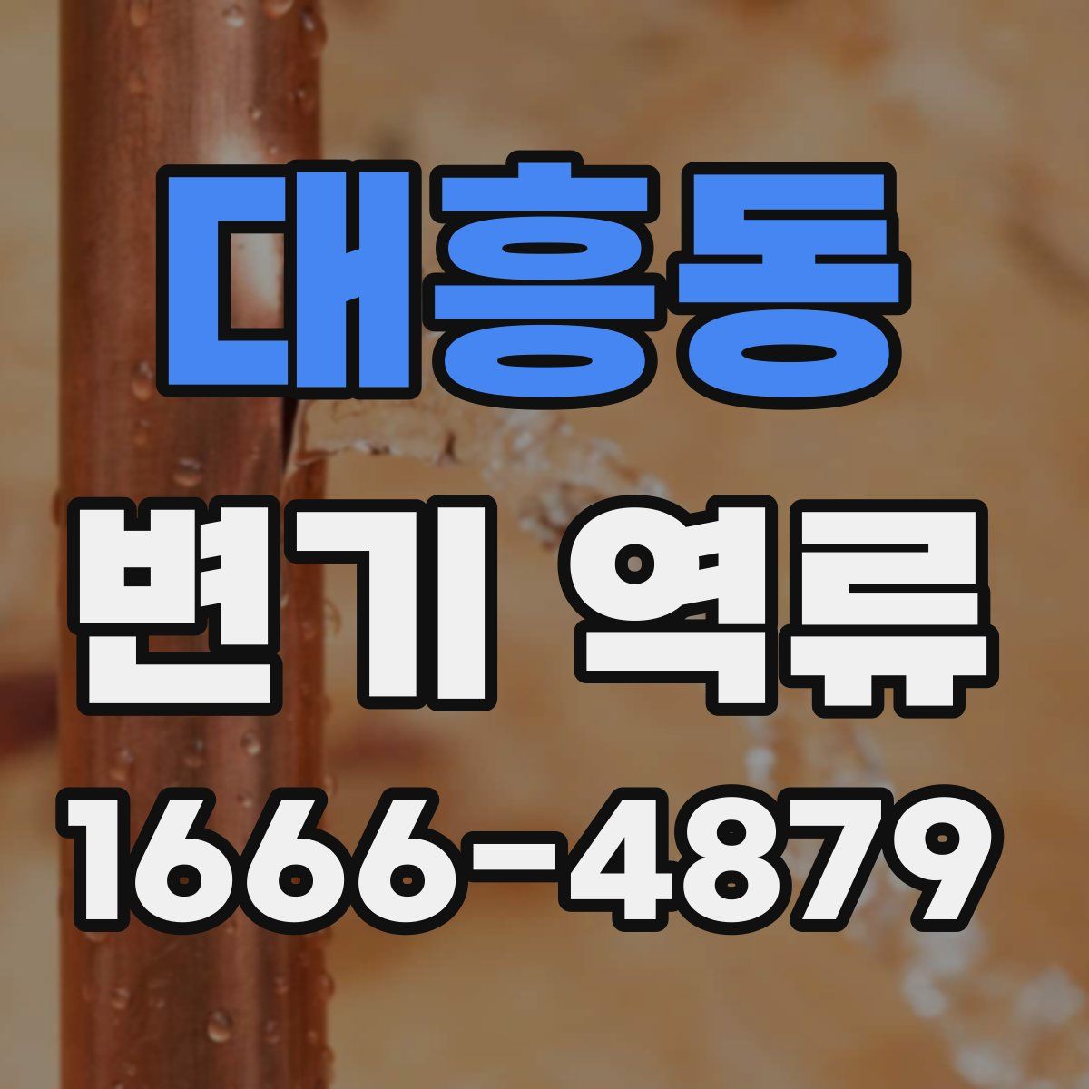 대흥동 변기 역류