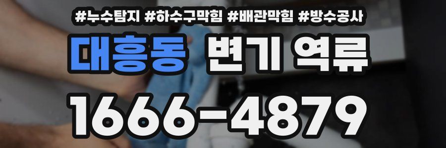 대흥동 변기 역류