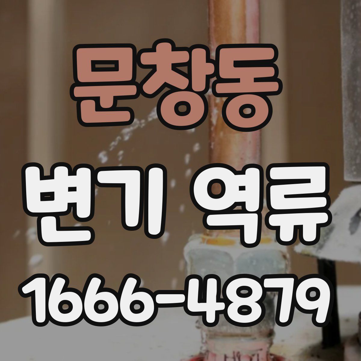 문창동 변기 역류