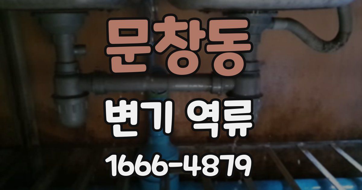문창동 변기 역류