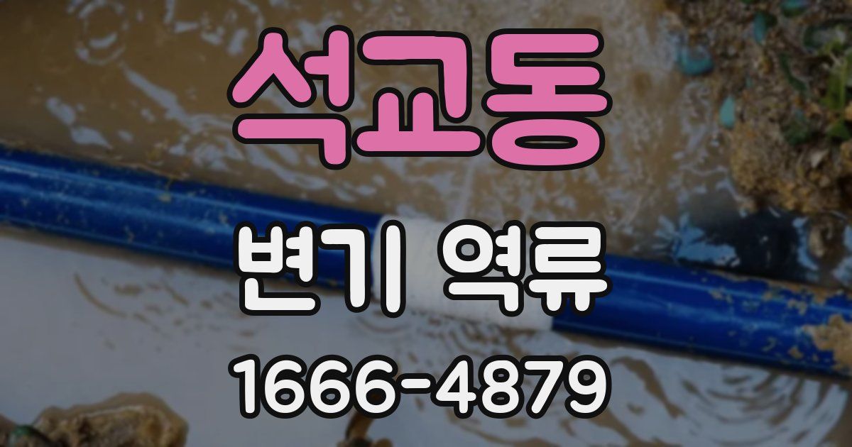 석교동 변기 역류