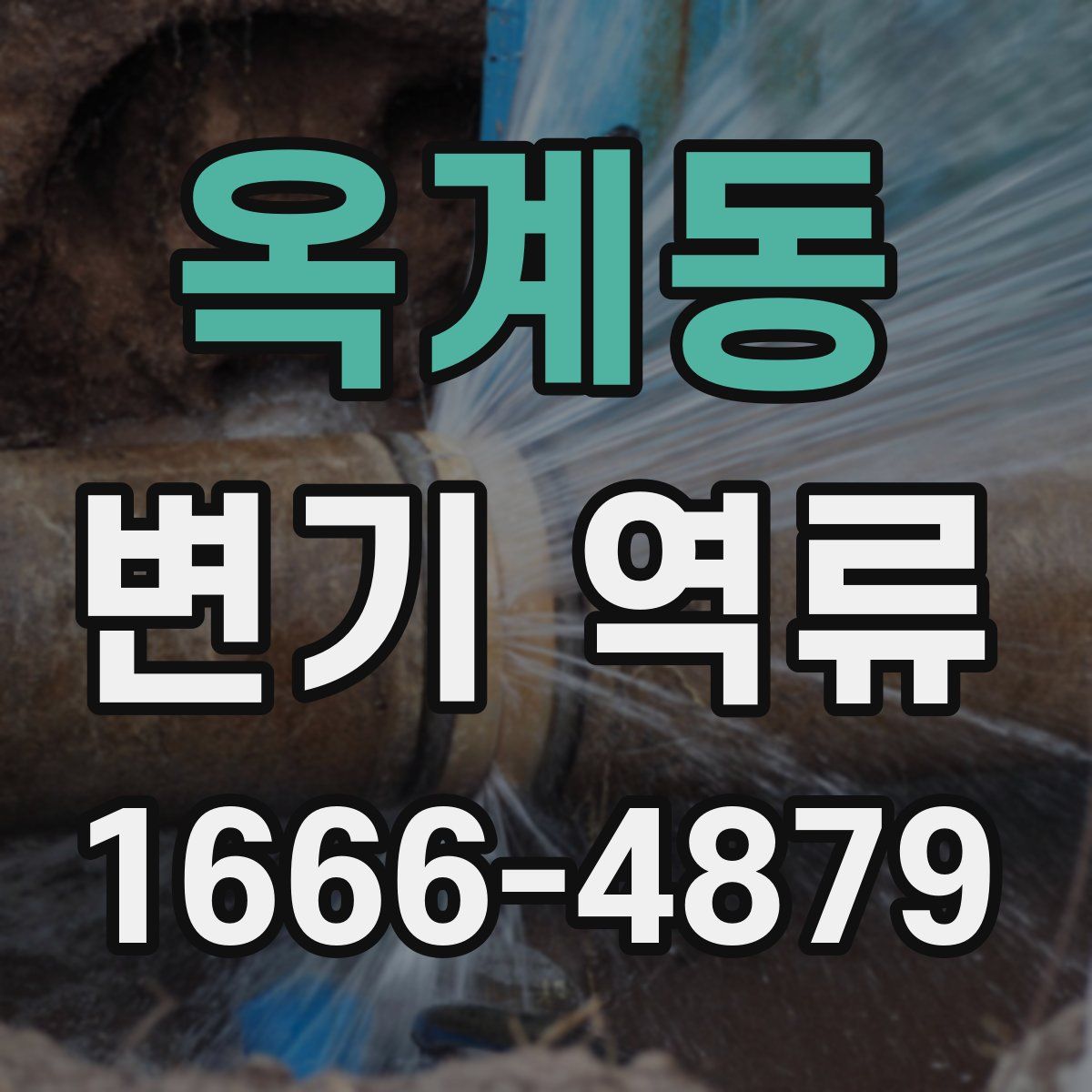 옥계동 변기 역류