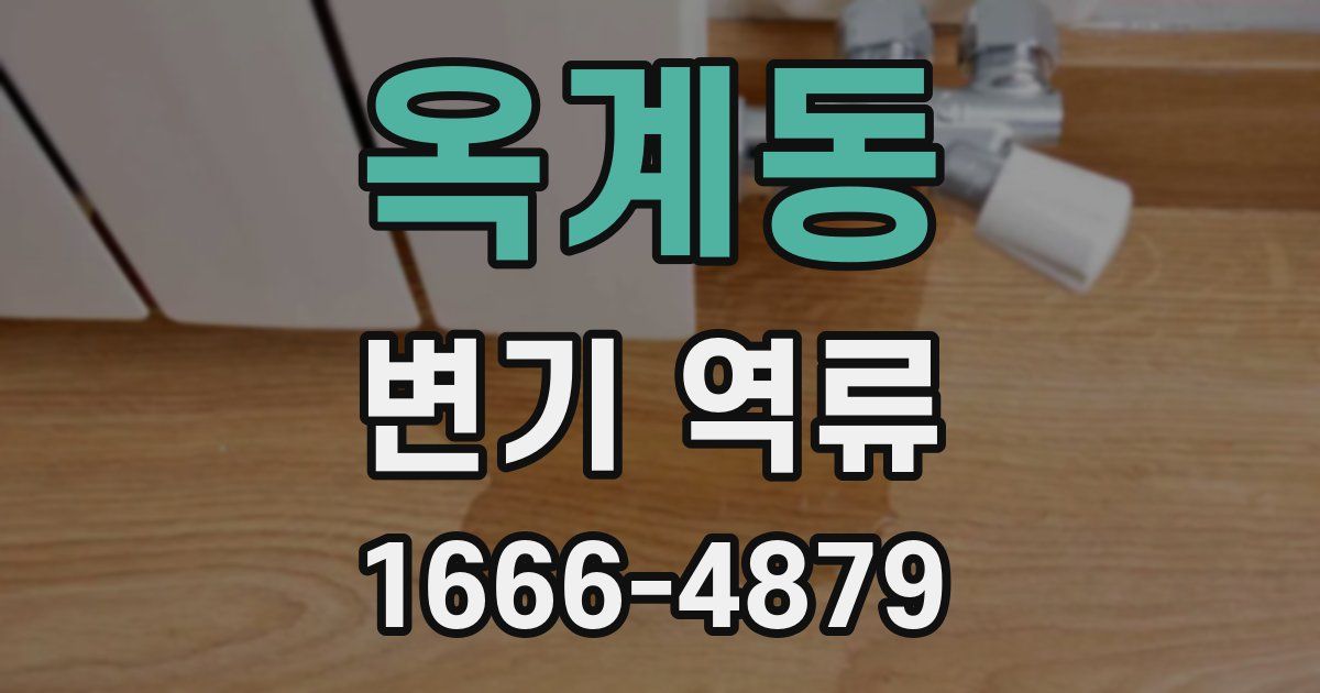 옥계동 변기 역류