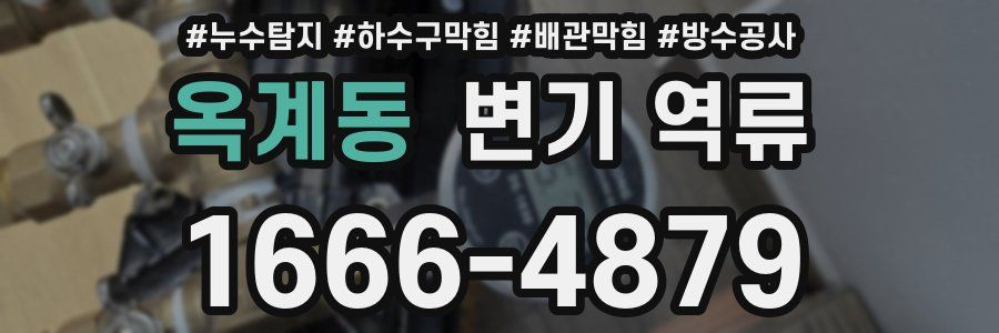 옥계동 변기 역류
