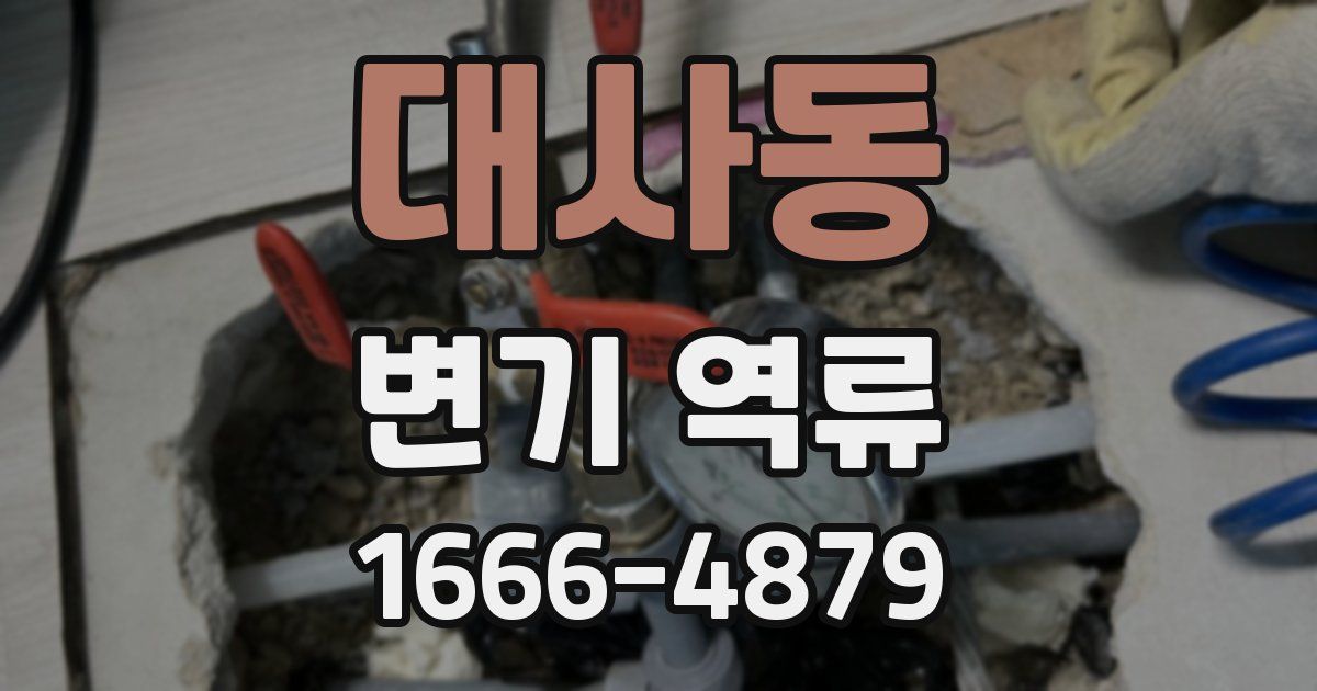 대사동 변기 역류