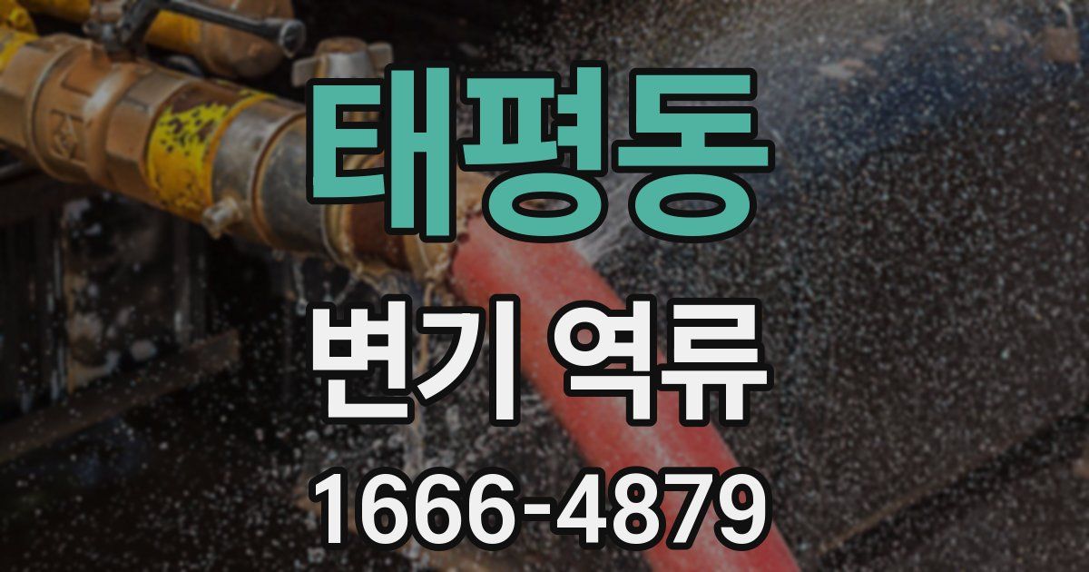 태평동 변기 역류